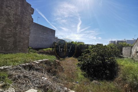 Terra a Calimera, Lecce, Calimera - € 85.000 | Ref: SE008 - foto 5